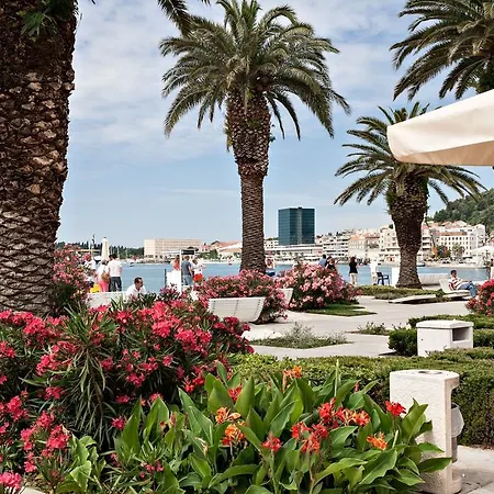 Babina - King & Queen Split